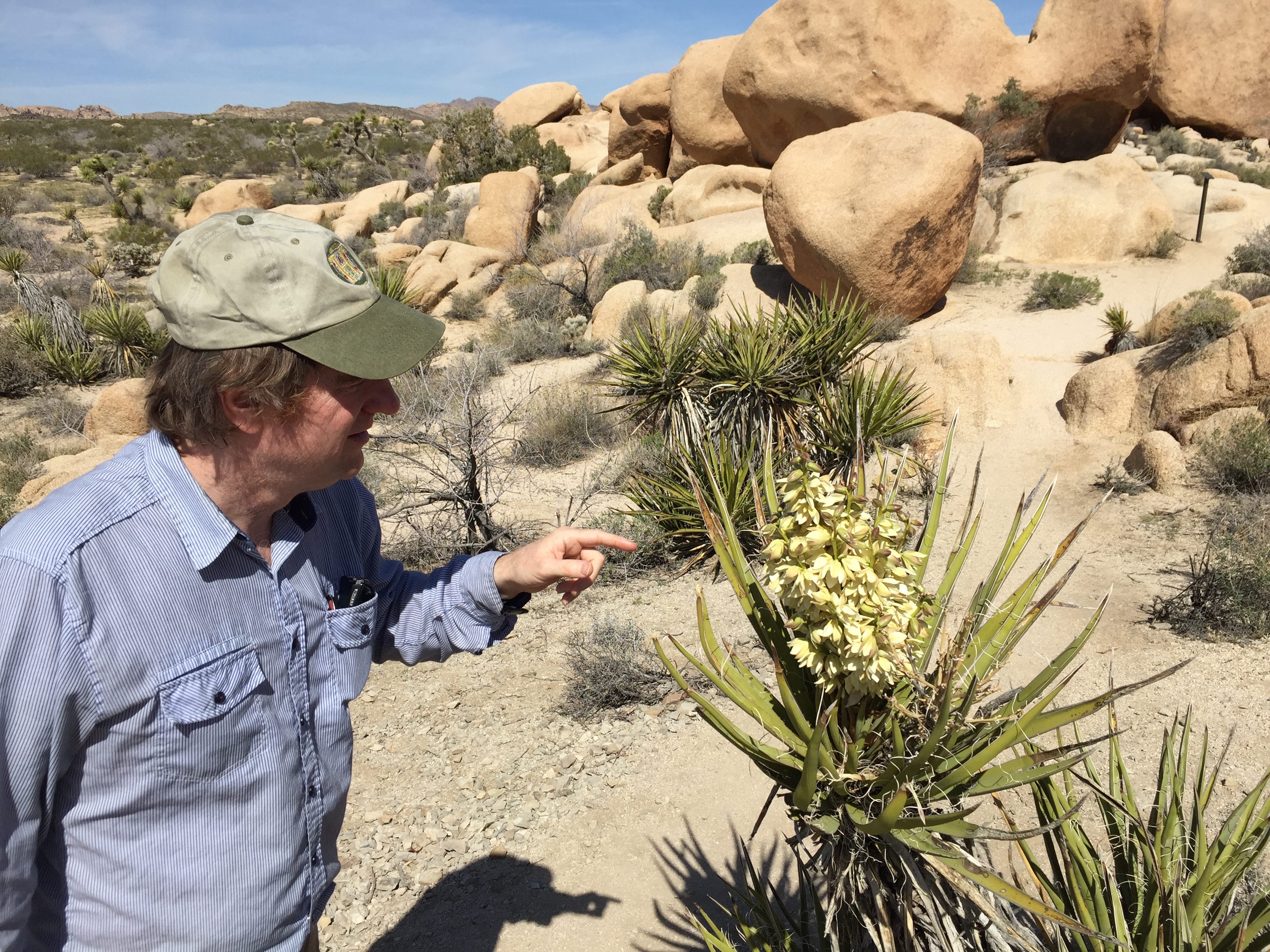 The BF making friends with the Blooming Yucca
