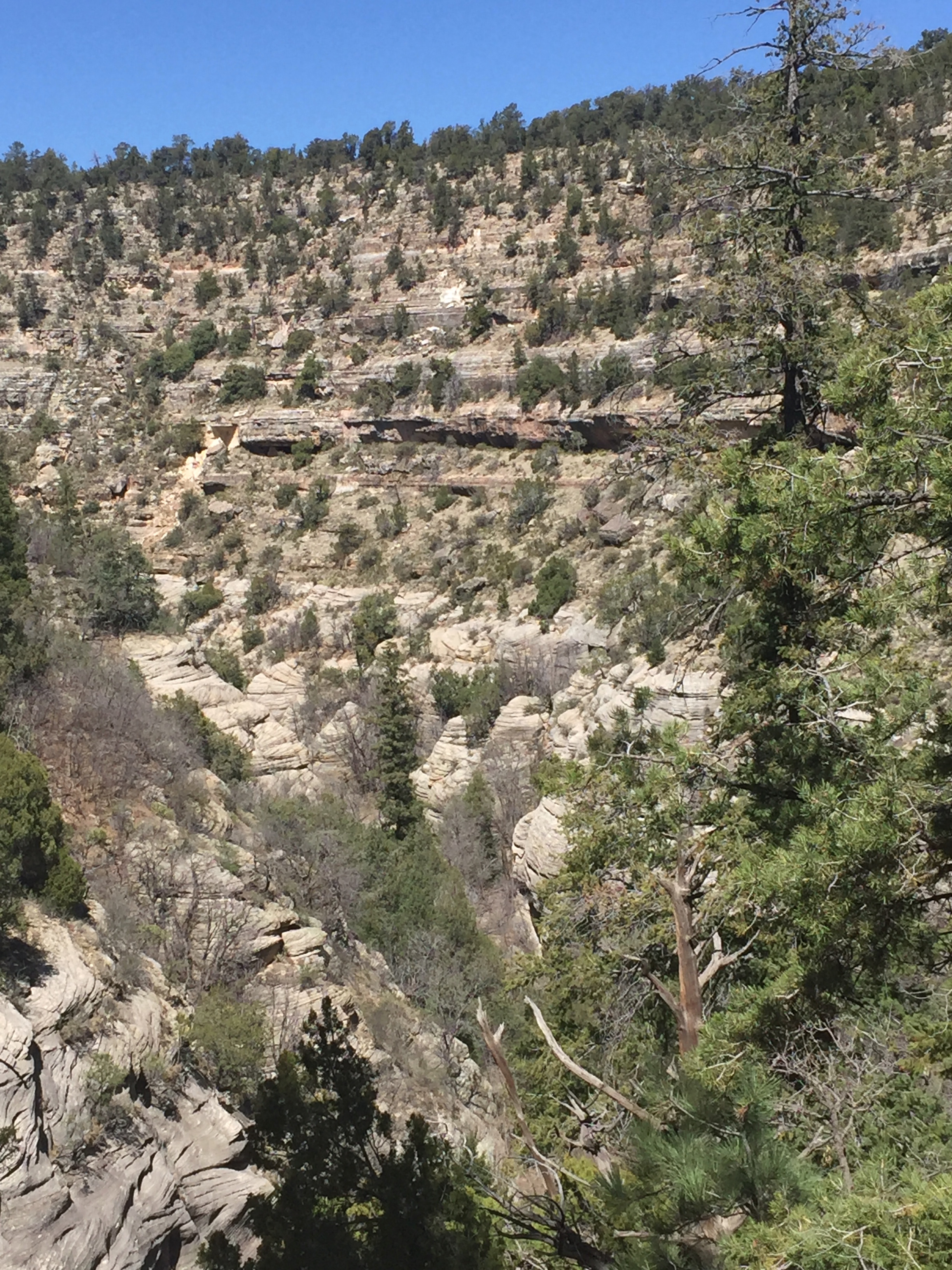 WC canyon view from loop trail