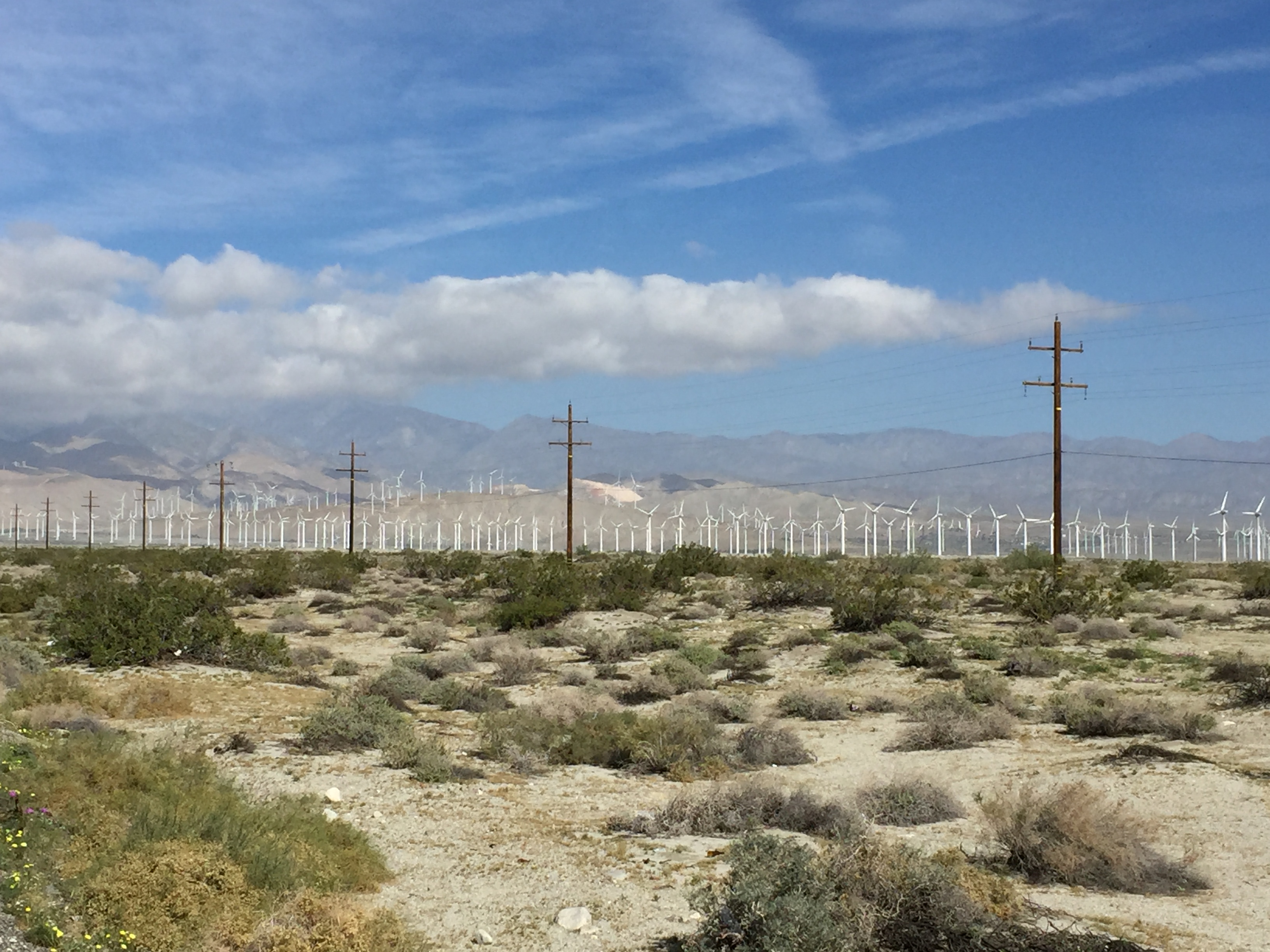 Wind mills with powerlines
