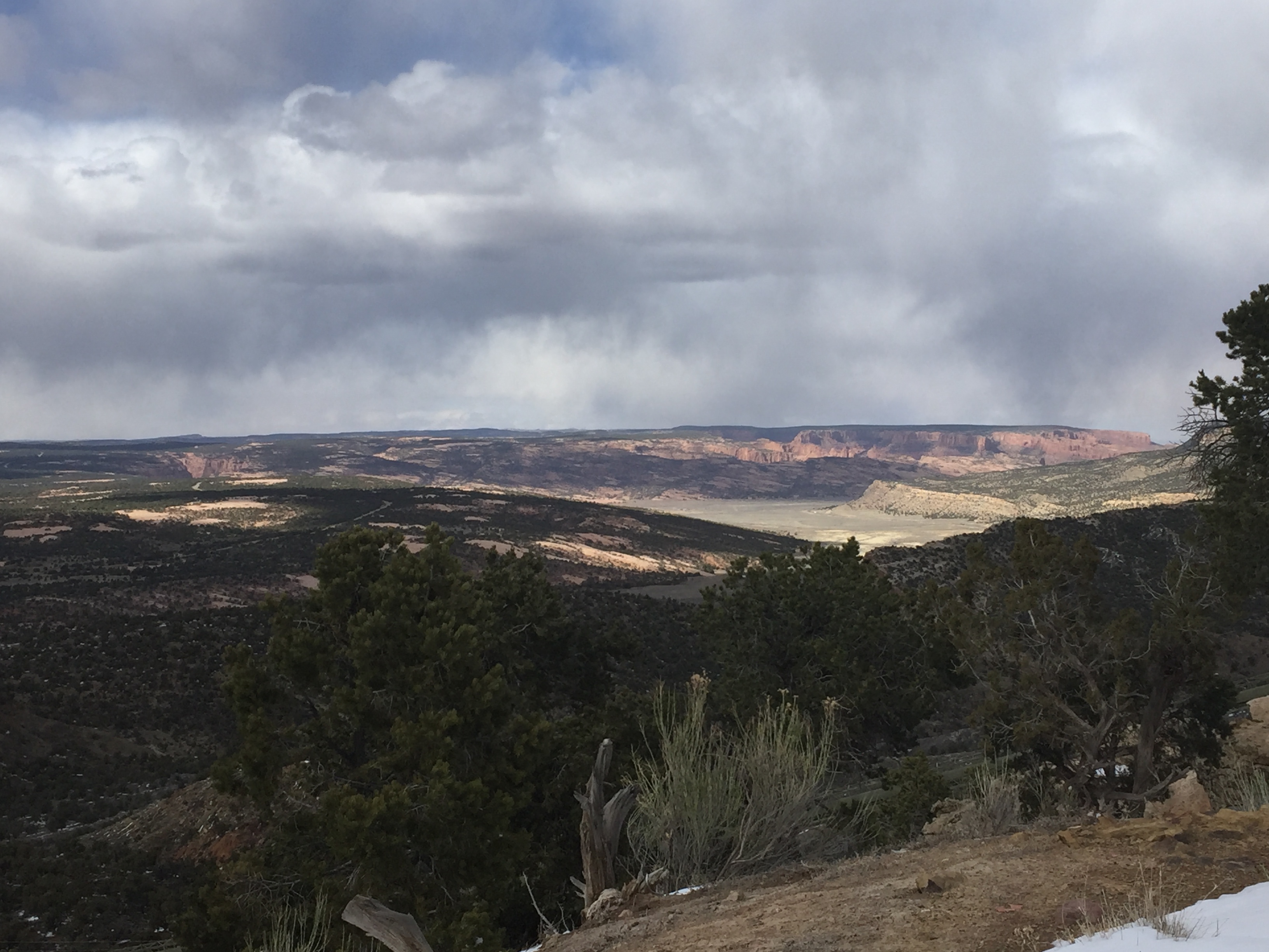 Black Mesa View