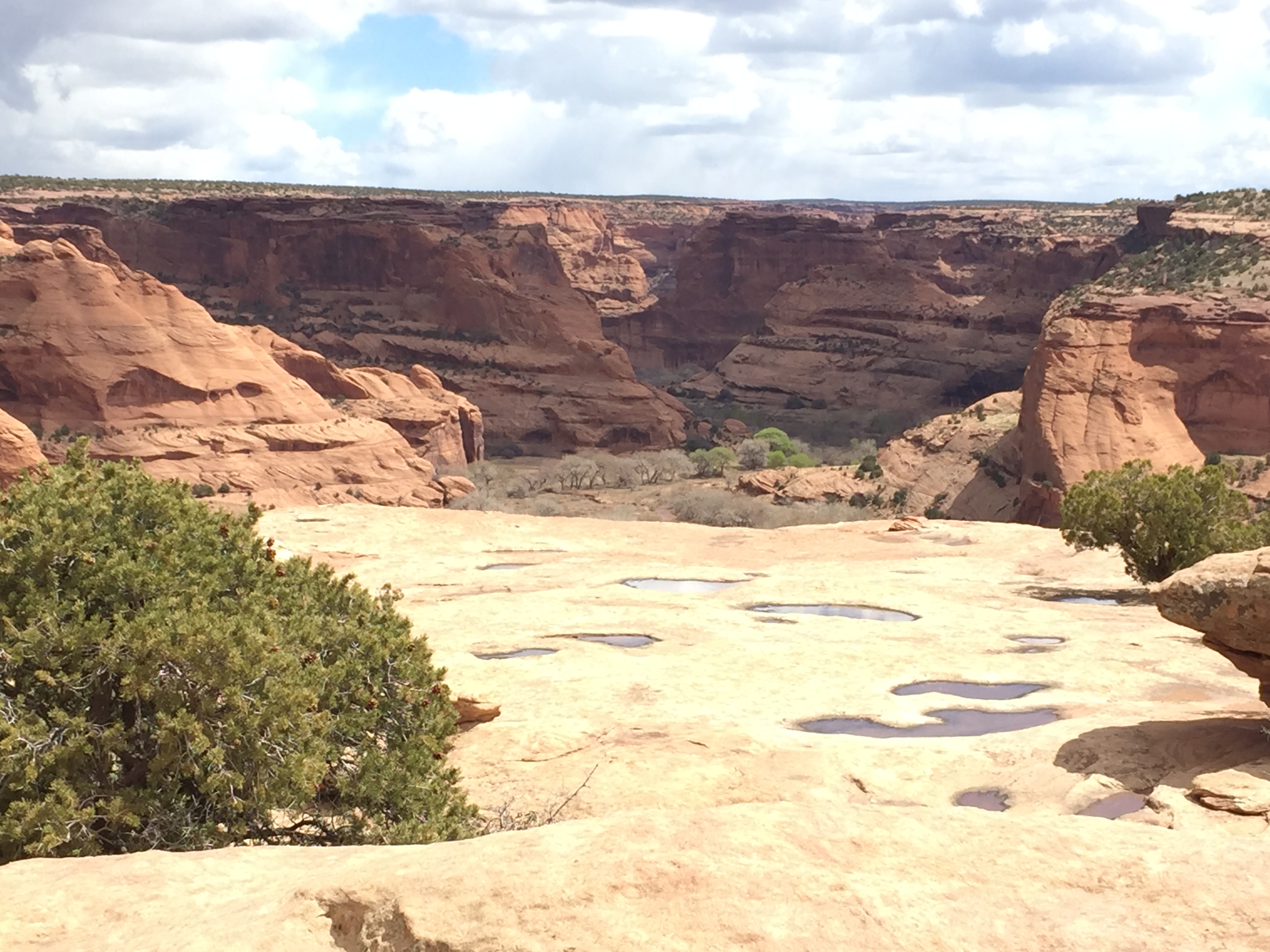 CDC Rock Ledge