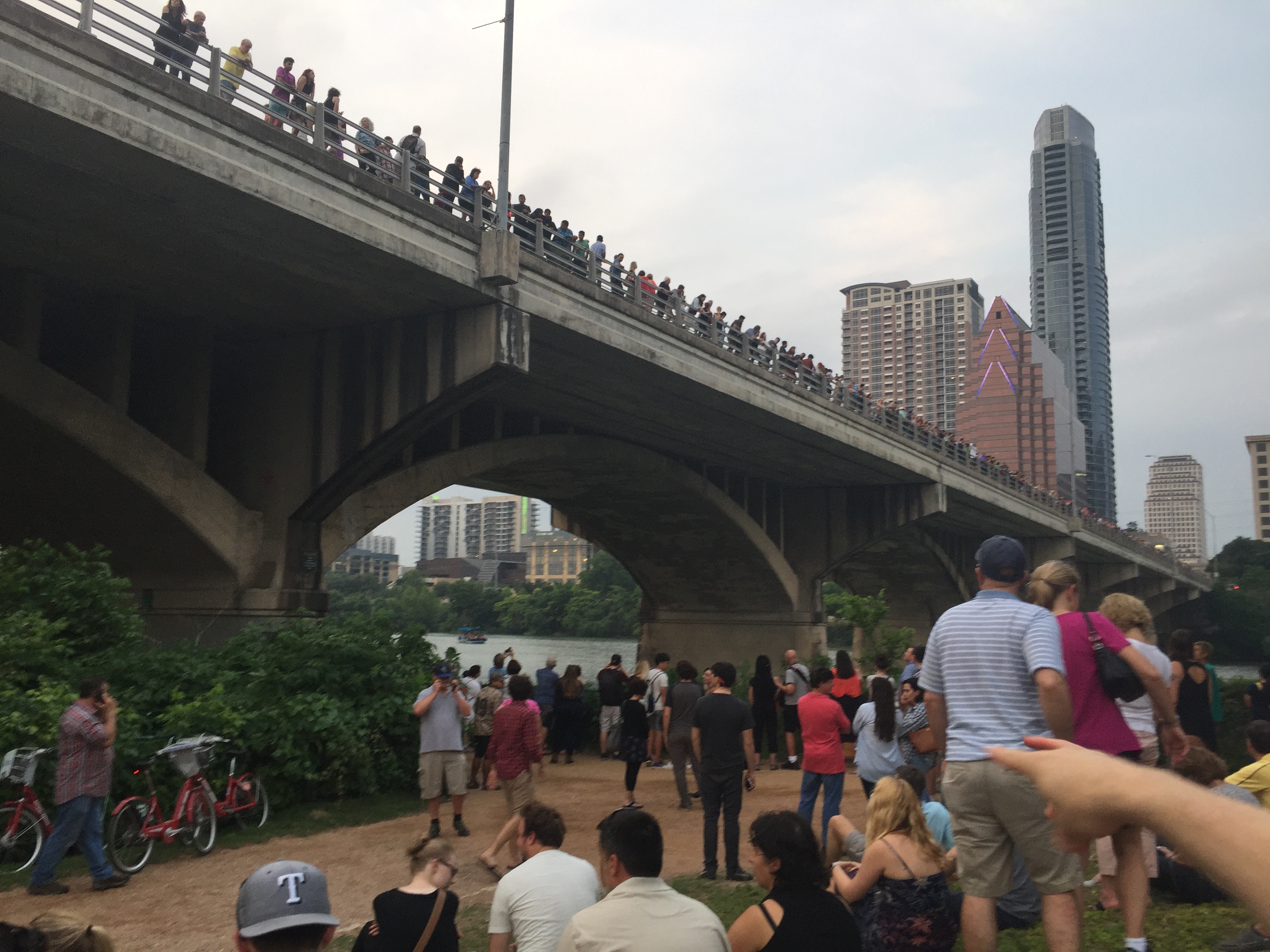 Austin Bat Watch