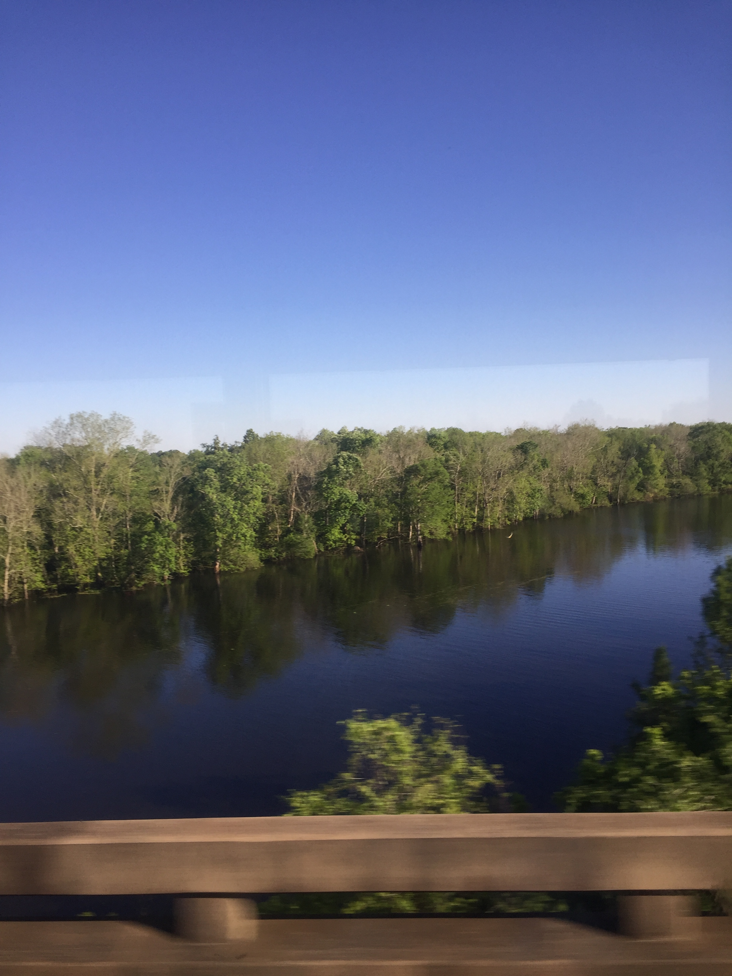 Bayou?