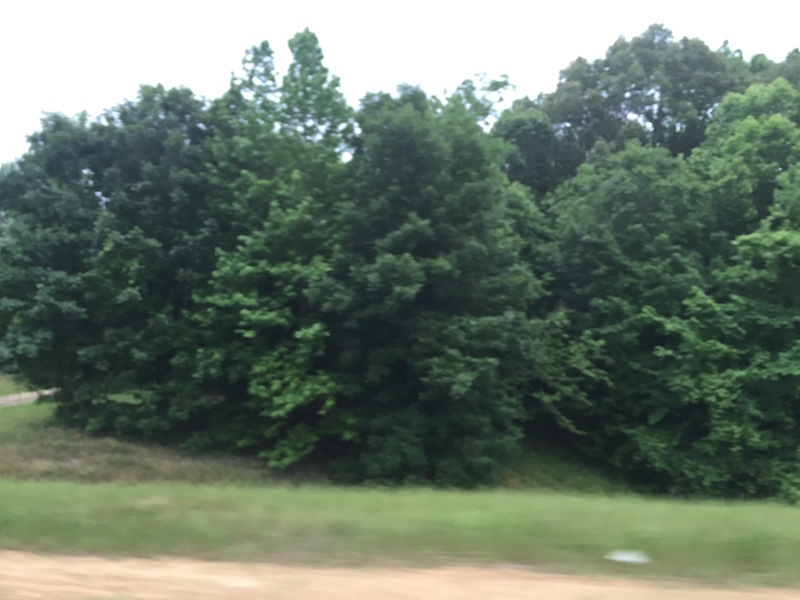 MS from the highway