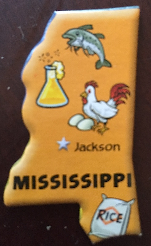MS